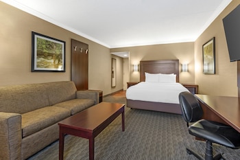 Standard Room, 1 Queen Bed, Refrigerator & Microwave, Ground Floor (with Sofabed)