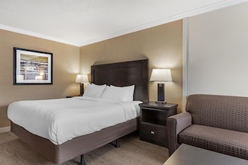 Suite, 1 King Bed, Non Smoking, Refrigerator & Microwave (Larger Room;with Sofabed)