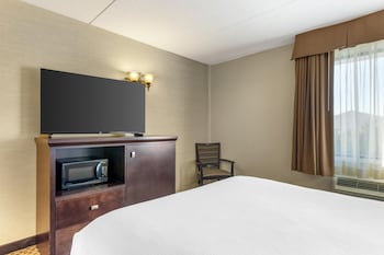 Standard Room, 1 Double Bed, Non Smoking, Refrigerator & Microwave