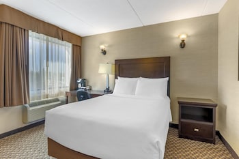 Standard Room, 1 Double Bed, Non Smoking, Refrigerator & Microwave