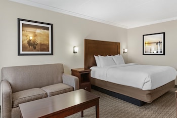 Standard Room, 1 King Bed, Non Smoking, Refrigerator & Microwave (with Single Sofabed)