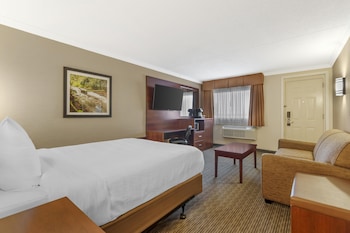 Standard Room, 1 Queen Bed, Refrigerator & Microwave, Ground Floor (with Sofabed)