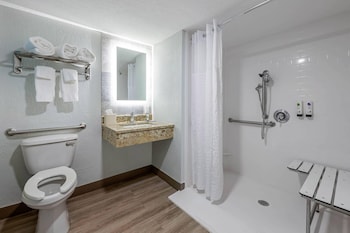 1 King Bed, Patio, No View, Accessible, No Smoking