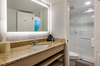 1 King Bed, Partial Ocean View, Balcony, No Smoking