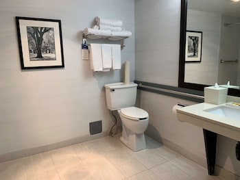 Business Room, 1 King Bed, Accessible, Refrigerator & Microwave