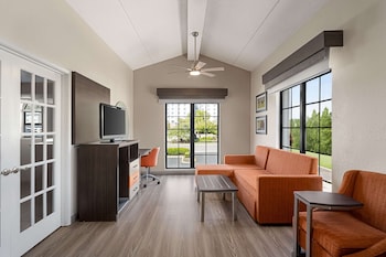 Suite, 1 King Bed, Non Smoking (1 Bedroom)
