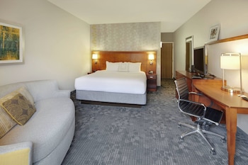 Basic Room, 1 King Bed with Sofa bed (Hearing Accessible)