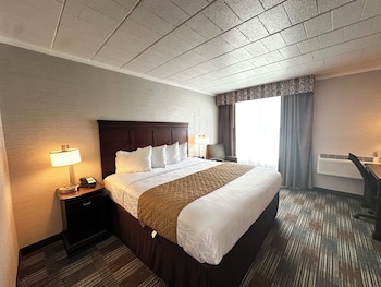 Deluxe Room, 1 King Bed, Refrigerator & Microwave