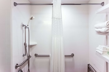 1 King Bed with Accessible Roll-In Shower - ADA