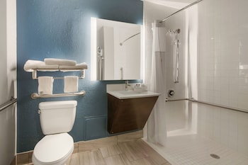 Room, 1 King Bed, Accessible, Non Smoking (Roll-In Shower)