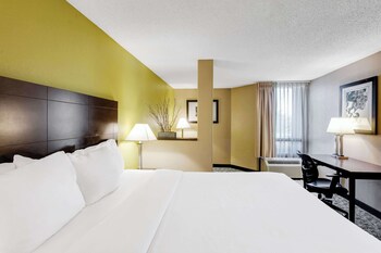 Room, 1 King Bed, Accessible, Non Smoking (Roll-In Shower)