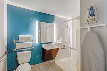 Room, 1 King Bed, Accessible, Non Smoking (Roll-In Shower)