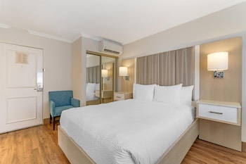 Standard Room, 1 Queen Bed, Non Smoking, Refrigerator