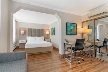Junior Suite, 1 Queen Bed, Non Smoking, Refrigerator (with Sofabed)