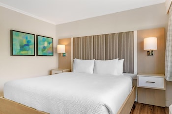 Executive Suite, 1 King Bed, Non Smoking, Refrigerator (with Sofabed)