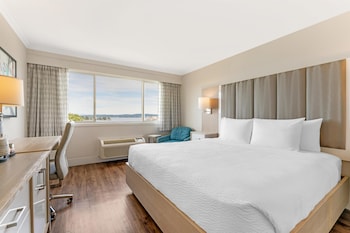 Standard Room, 1 King Bed, Refrigerator, Harbor View