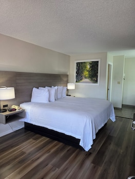 Room, 1 King Bed, Accessible, Smoking (Mobility, Bathtub w/Grab Bars)