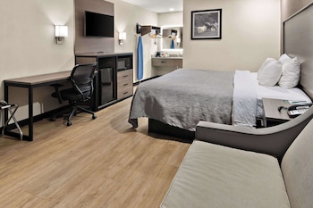 Standard Room, 1 King Bed, Non Smoking