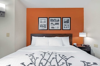 Standard Room, 1 Queen Bed, Non Smoking, Refrigerator & Microwave