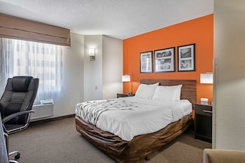 Standard Room, 1 Queen Bed, Non Smoking, Refrigerator & Microwave