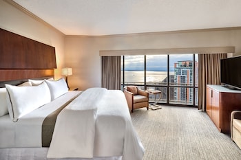 Premium Room, 1 King Bed with Sofa bed (Mobility Accessible, Roll-In Shower)