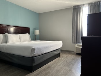Standard Room, 1 King Bed, Non Smoking