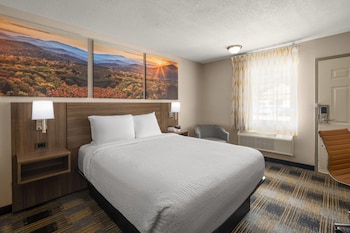 Room, 1 Queen Bed, Accessible, Non Smoking (Mobility, Bathtub with Grab Bars)