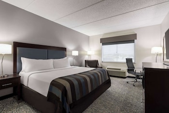 Room, 1 King Bed, Accessible, Non Smoking (Mobility/Hearing Impaired)