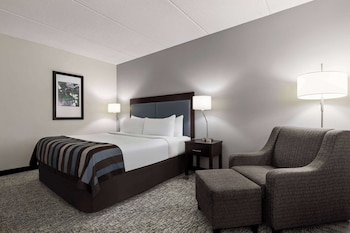 Room, 1 King Bed, Non Smoking