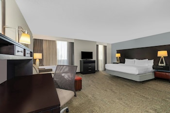 Studio Suite, 1 Double Bed, Kitchen