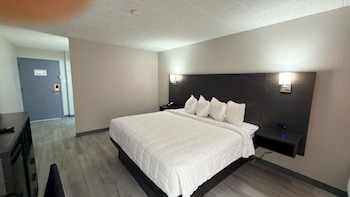 Room, 1 King Bed, Non Smoking