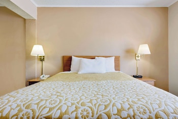 Room, 1 King Bed, Smoking