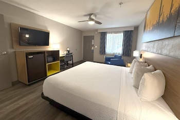 Room, 1 King Bed, Accessible, Non Smoking (Mobility)