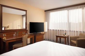 Room, 1 King Bed, City View (King Guest Room)