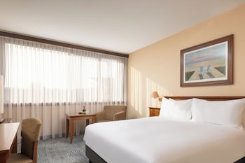 Room, 1 King Bed, City View (King Guest Room)