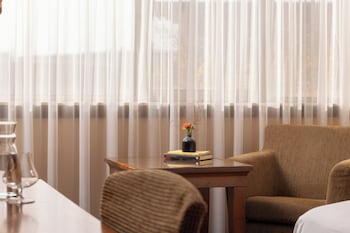Room, 1 King Bed, City View (King Guest Room)