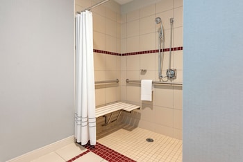 Room, 1 King Bed, Roll-in Shower, Non Smoking