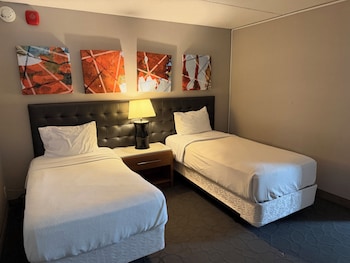 Standard Room, Multiple Beds, Non Smoking