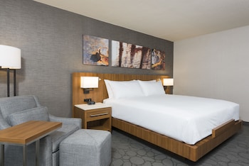 Room, 1 King Bed