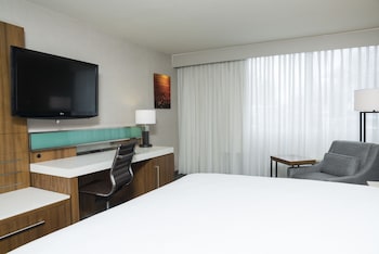 Room, 1 King Bed, Roll-in Shower, Non Smoking