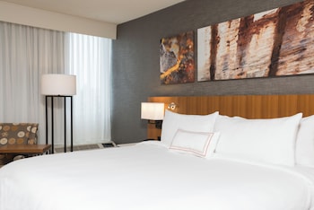 Room, 1 King Bed, Accessible, Non Smoking