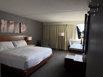 Room, 1 King Bed, Roll-in Shower, Non Smoking