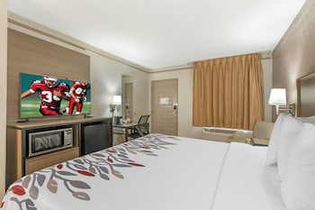 Superior Room, 1 King Bed, Accessible, Non Smoking (Roll-In Shower)