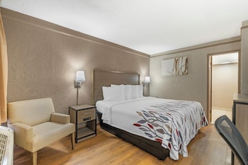 Superior Room, 1 King Bed, Accessible, Non Smoking (Roll-In Shower)