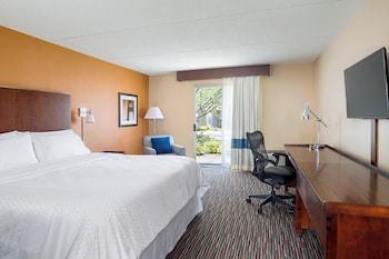 Room, 1 King Bed, Mobility Accessible, Bathtub