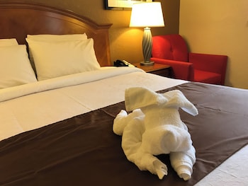 Room, 1 King Bed, Non Smoking