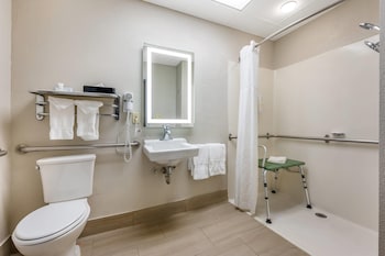 Room, 1 King Bed, Accessible, Non Smoking