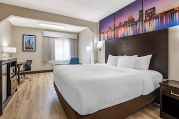 Standard Room, 1 King Bed, Non Smoking