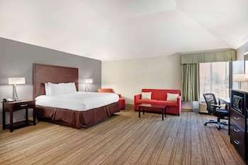 Standard Room, 1 King Bed, Non Smoking, Refrigerator & Microwave (Larger Room;with Sofabed)