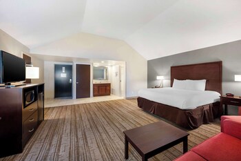Standard Room, 1 King Bed, Non Smoking, Refrigerator & Microwave (Larger Room;with Sofabed)
